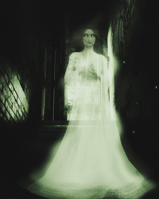 fantastique fant&ocirc;me
