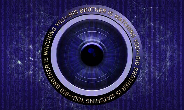 1984 : vivions-nous dans le monde de Big Brother ?